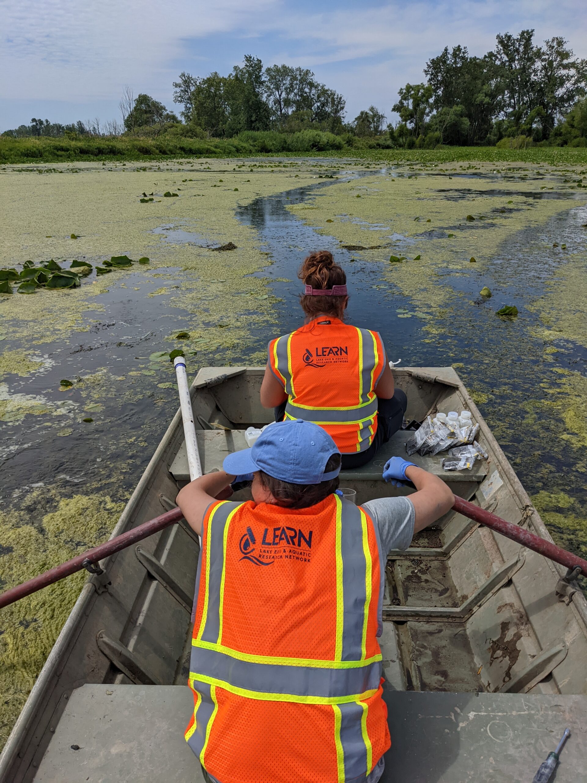Two people in orange vests are in a gray metal boat on a wetland that has green algae on it.